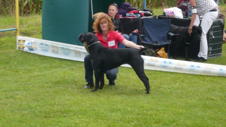 v kruhu - Povoda 2011