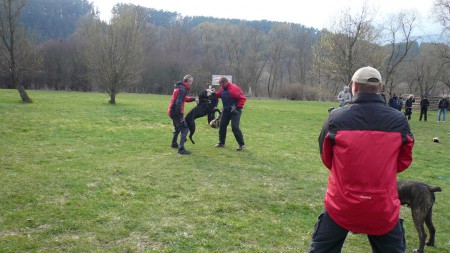 Klubová výstava - Liptovská Sielnica - 14.04.2012 - obrana