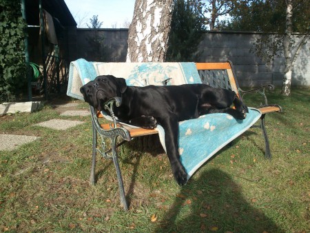 pohodička na slniečku