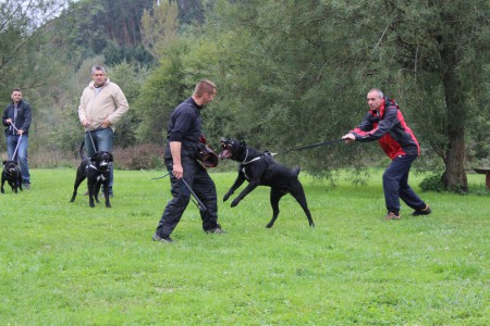 ...aby ste si nemysleli... keď ma niekto nahnevá... !